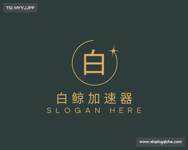 关于白鲸加速器